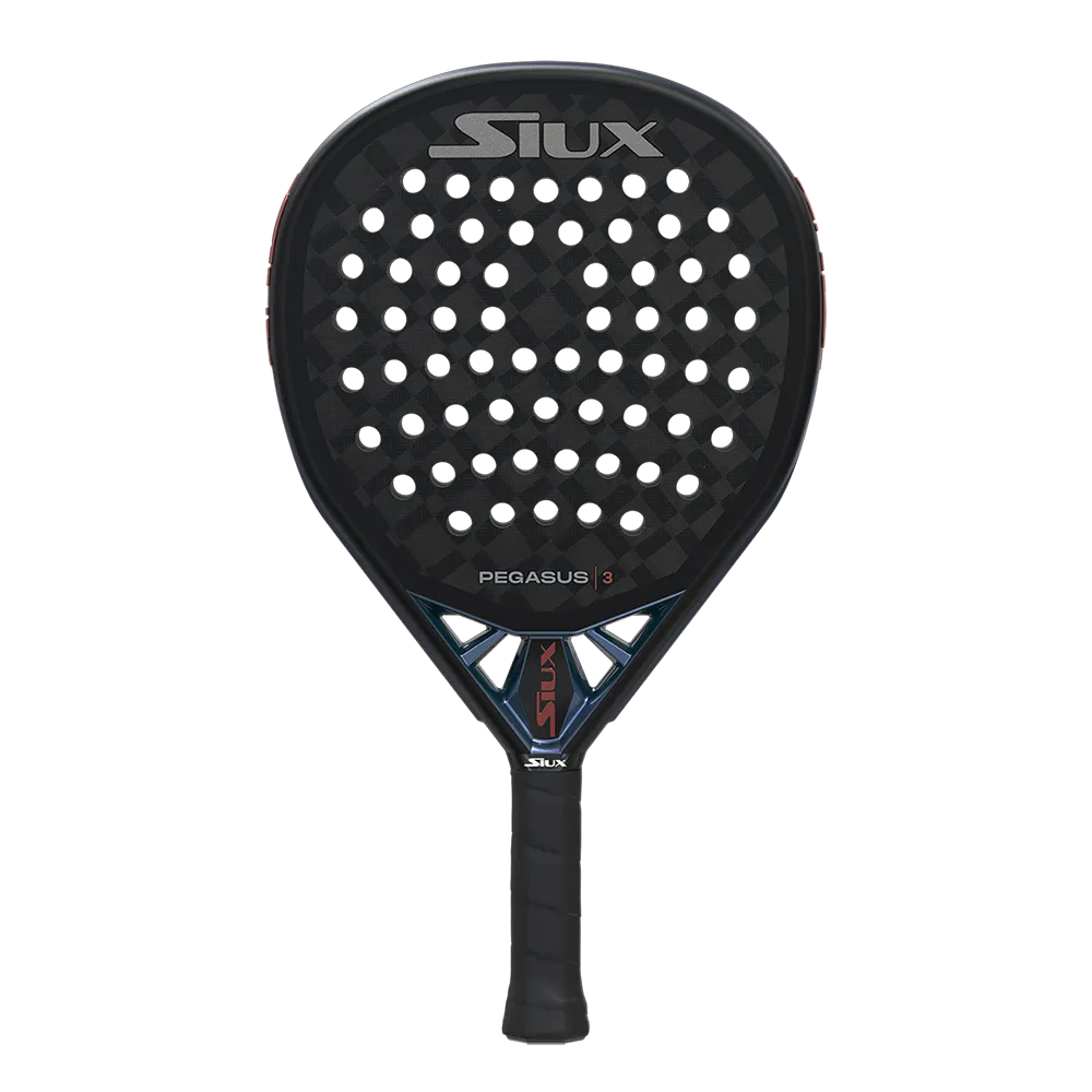 Siux Pegasus 3 2025