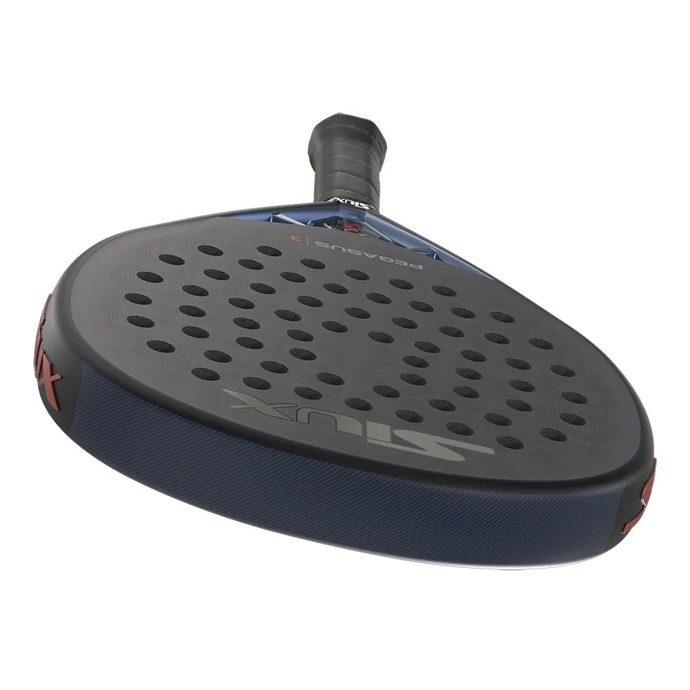 Siux Pegasus 3 2025 - Imagen 5