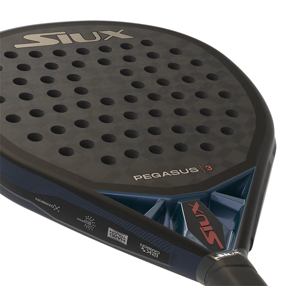 Siux Pegasus 3 2025 - Imagen 4