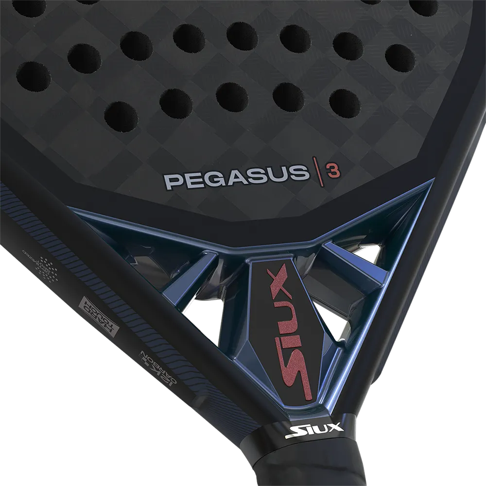 Siux Pegasus 3 2025 - Imagen 3
