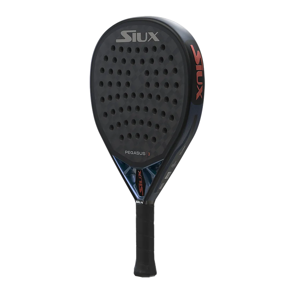 Siux Pegasus 3 2025 - Imagen 2